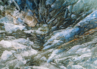 natur