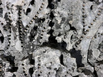 ornamente