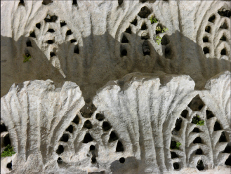 ornamente